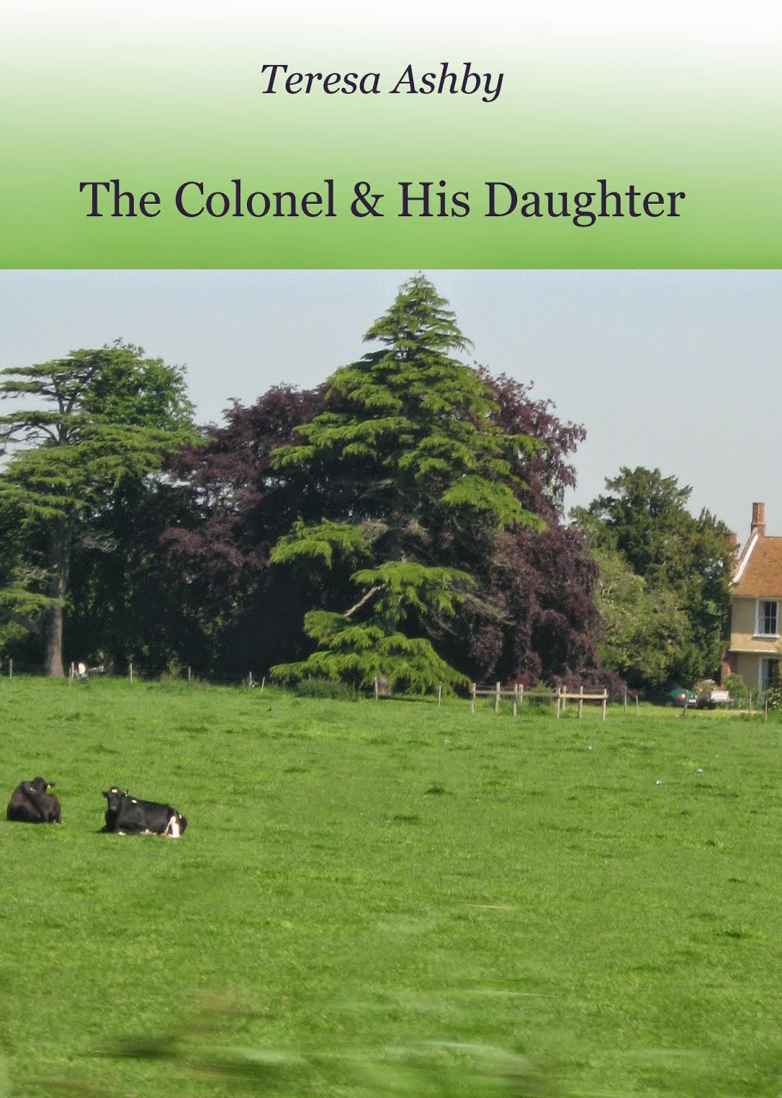 The Colonel and His Daughter - Kindle