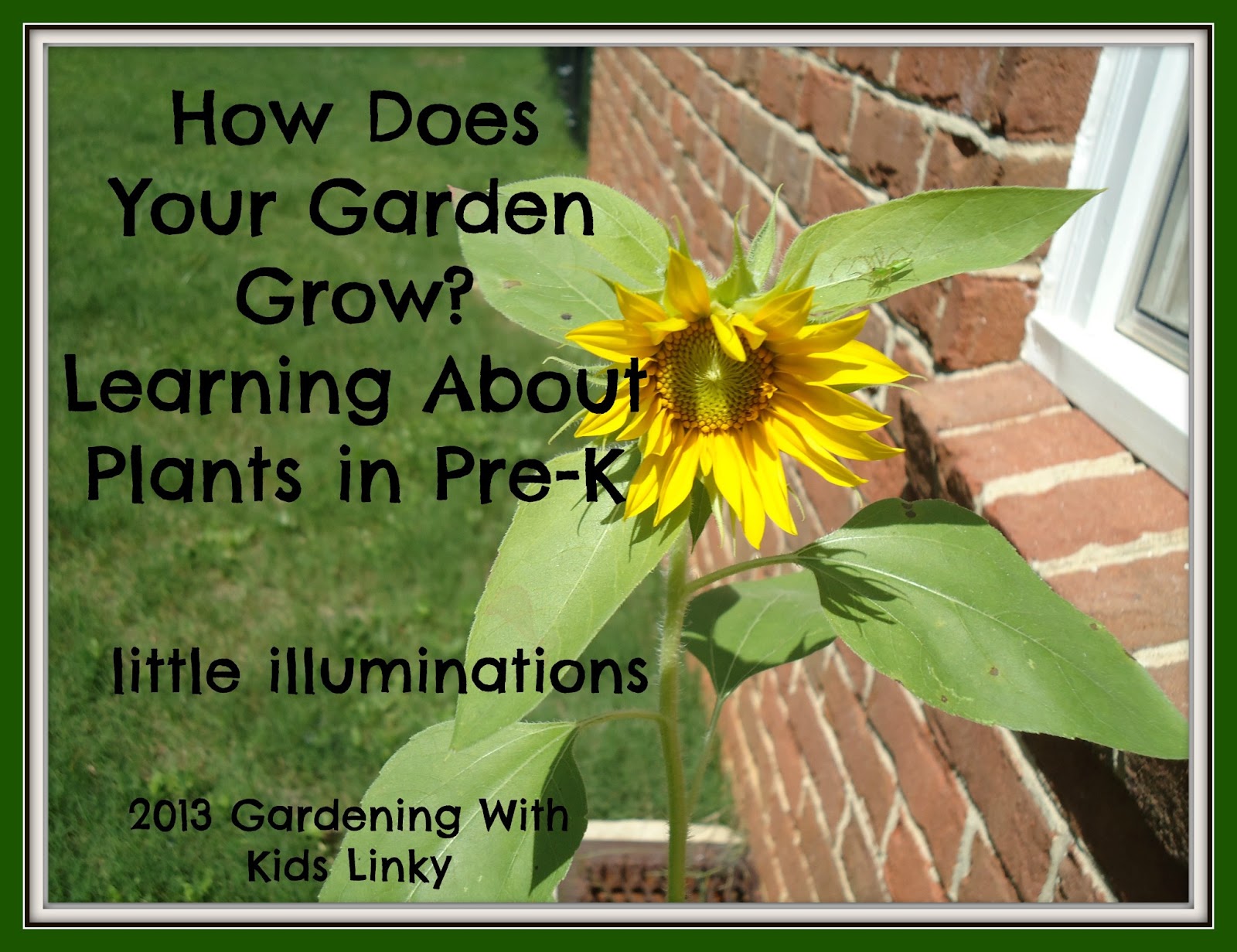 little illuminations How Does Your Garden Grow? Learning About Plants
