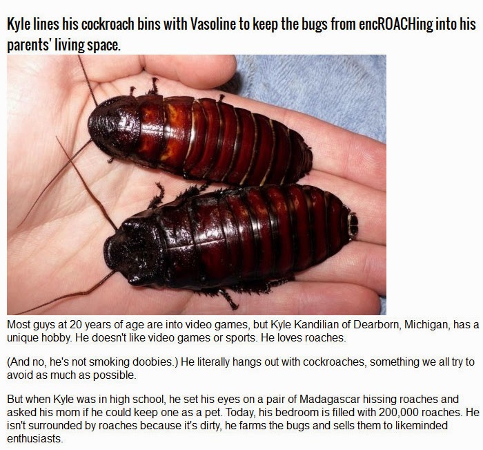Meet The Man Who Keeps 200 000 Cockroaches In His Bedroom