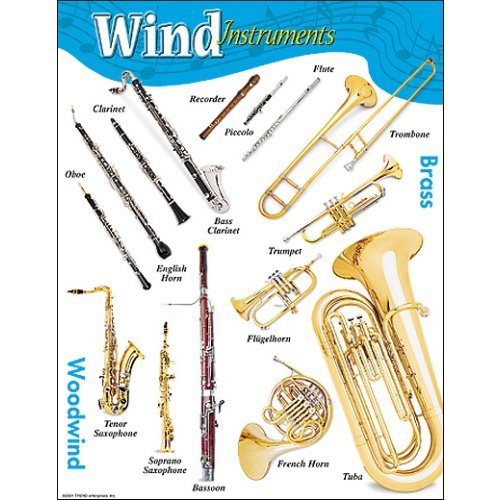 Music History France (c. 28,000 BC) Horn Aerophone