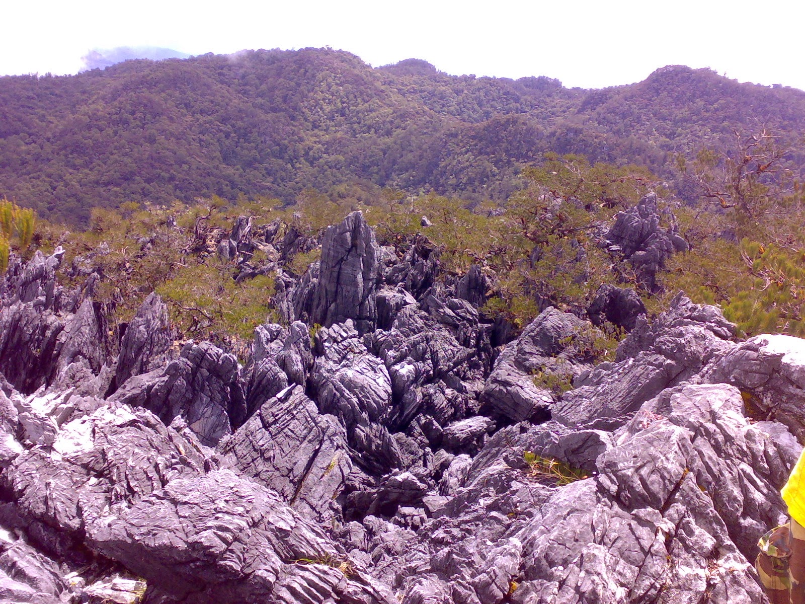 Lokasi Gunung Mekongga | Indonesian Alam