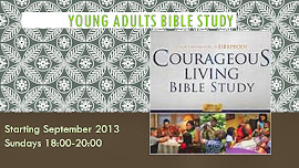 Young Adults Study