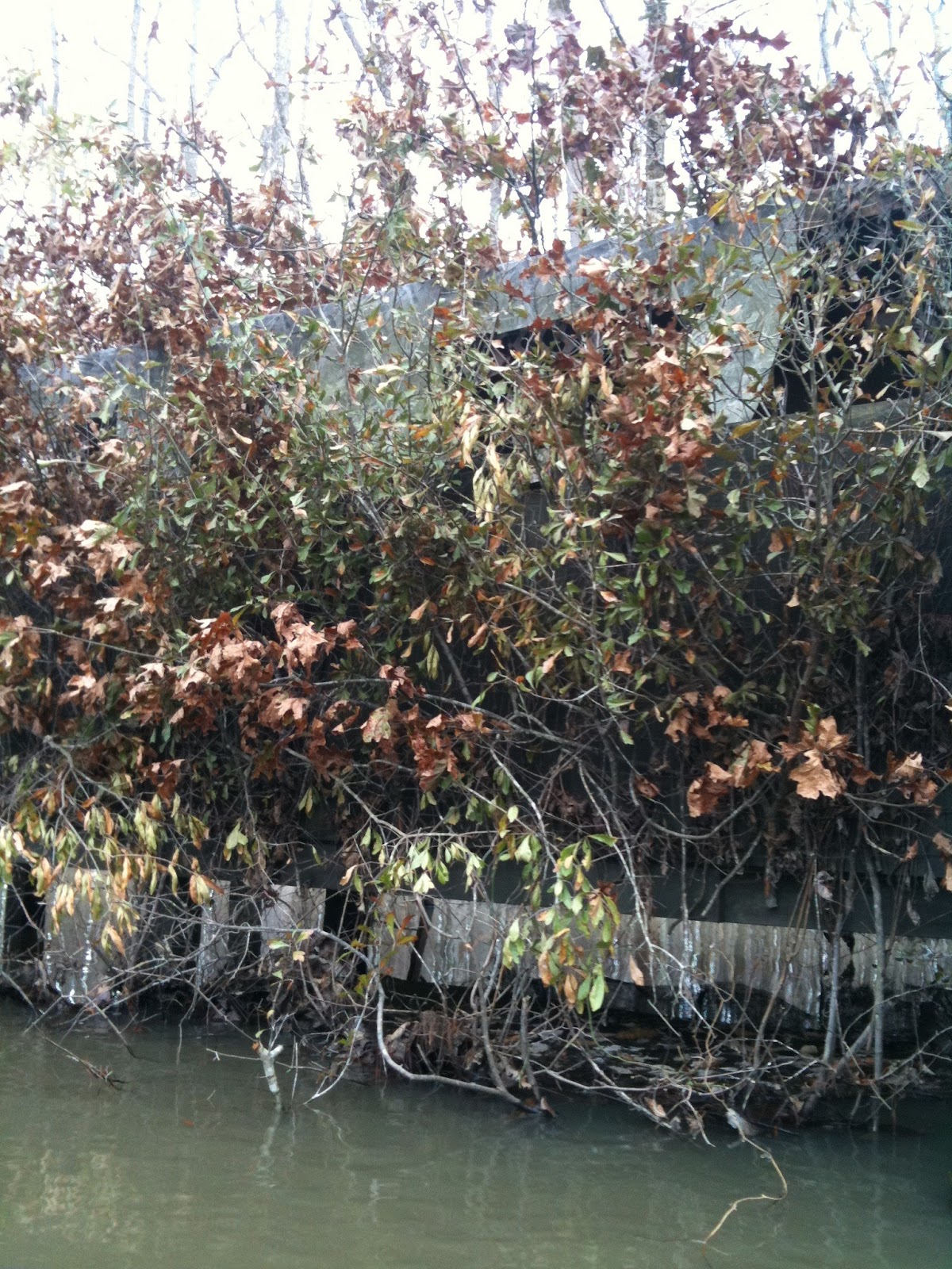 Black Swamp Land For Sale in Arkansas Black Swamp 80 Acres of Land For