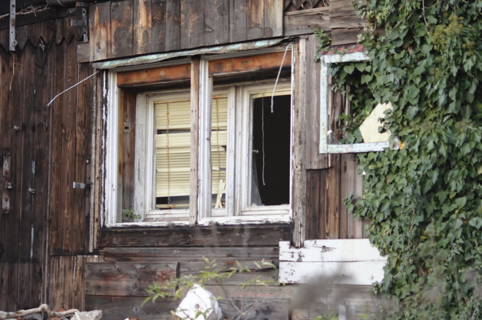 Alpha Picture Nurnberg 30 Oktober 2013 Das Schwarze Haus