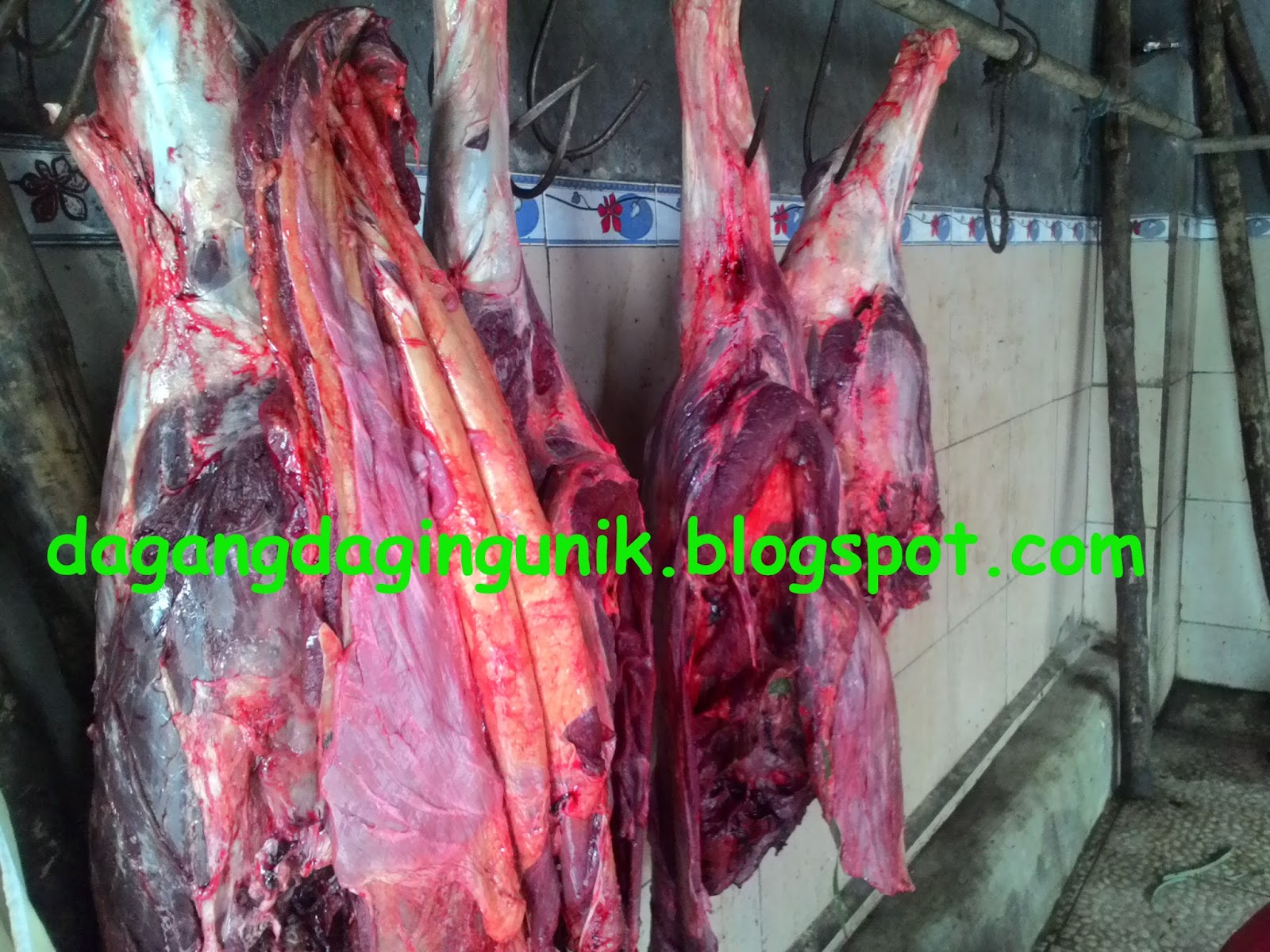 Jual Daging dagang daging unik indonesia jual daging kuda murah Jual Daging dagang daging unik indonesia jual daging kuda murah
