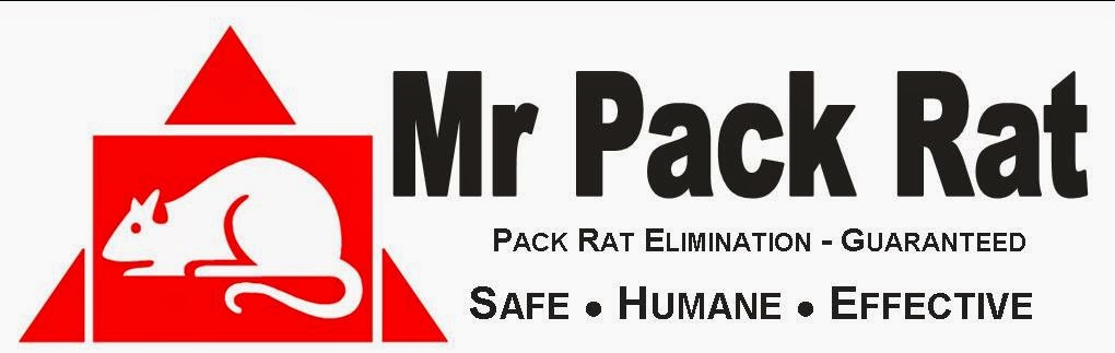 Mr. Pack Rat