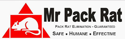 Mr. Pack Rat