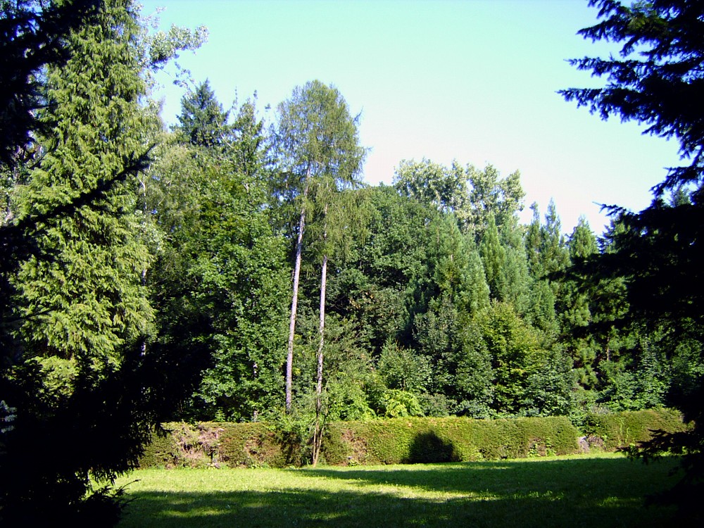 Flower Power Im Botanischen Garten In Krefeld Wattgibbet