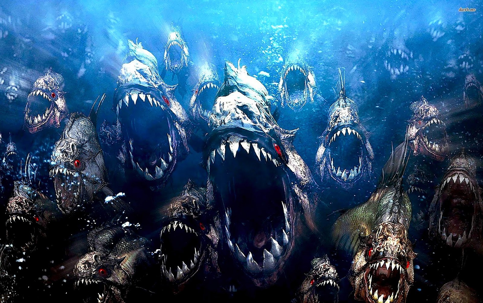 Piranha Piranha