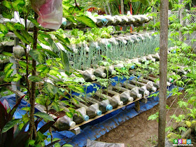 Bottle garden idea, gardening ideas for small gardens