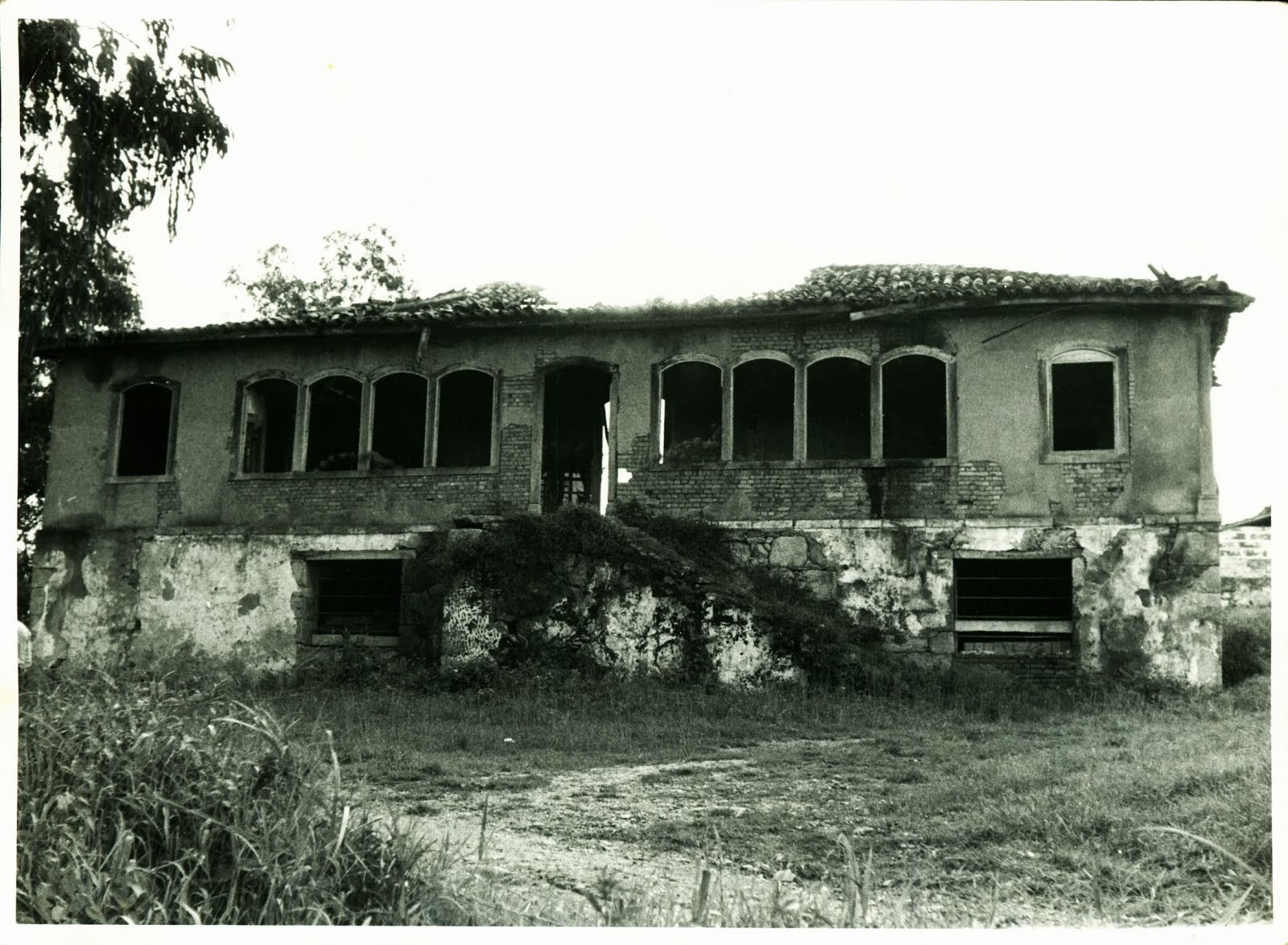 FAZENDA DO RIBEIRAO DE ALBERTO DIAS