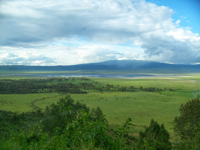 NGORONGORO CRATER TANZANIA