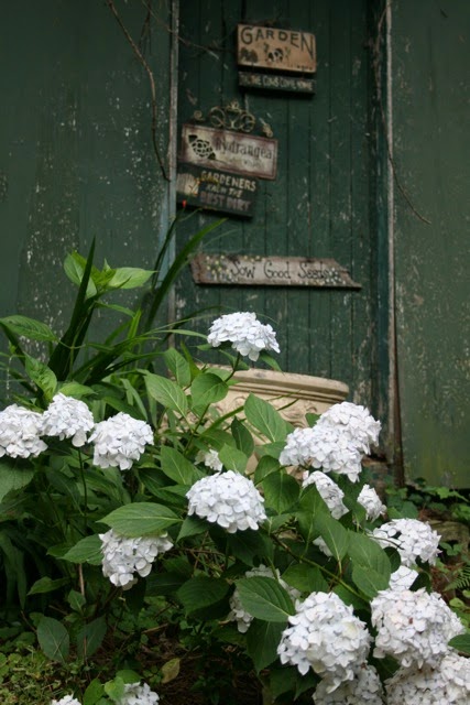The British Gardener The Tropical Years Damn Good Plants
