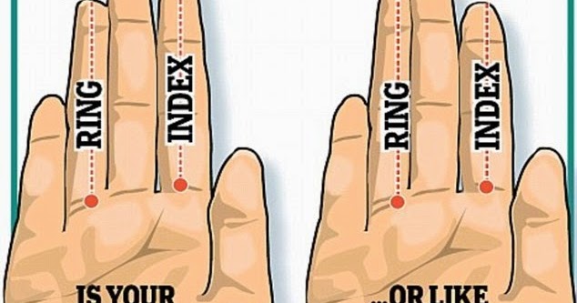 Jari Tangan Pengaruhi Panjang Organ Intim Pria Tiga