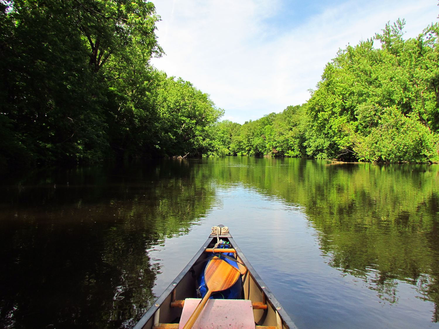 The View From the Canoe In the Good River