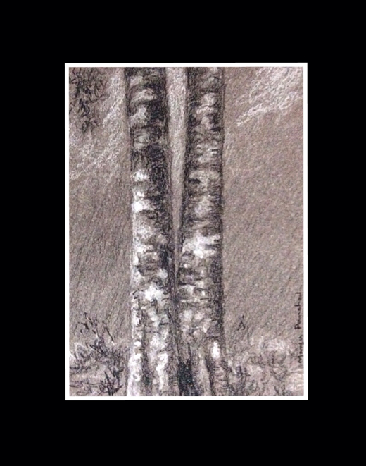 Charcoal and white soft pastel pencil sketch of a tree by Manju Panchal