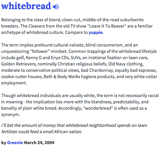 urban dictionary essay urban dictionary essay