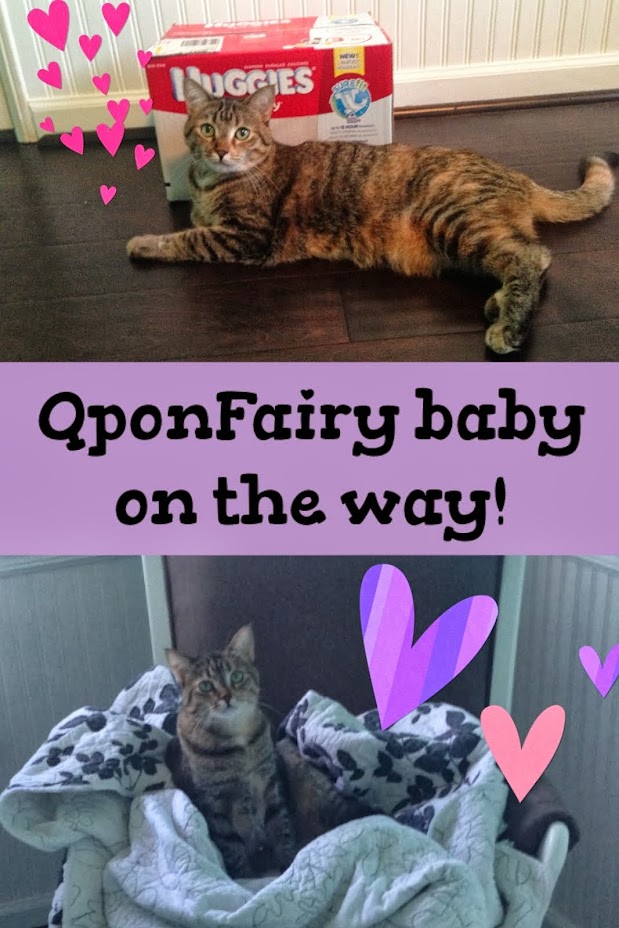 QponFairy is... Having a Baby!?!