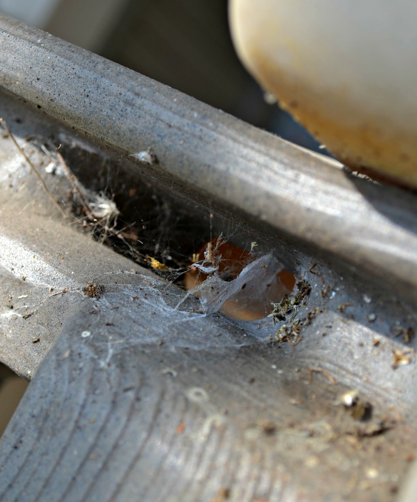 step 2 adobe playhouse