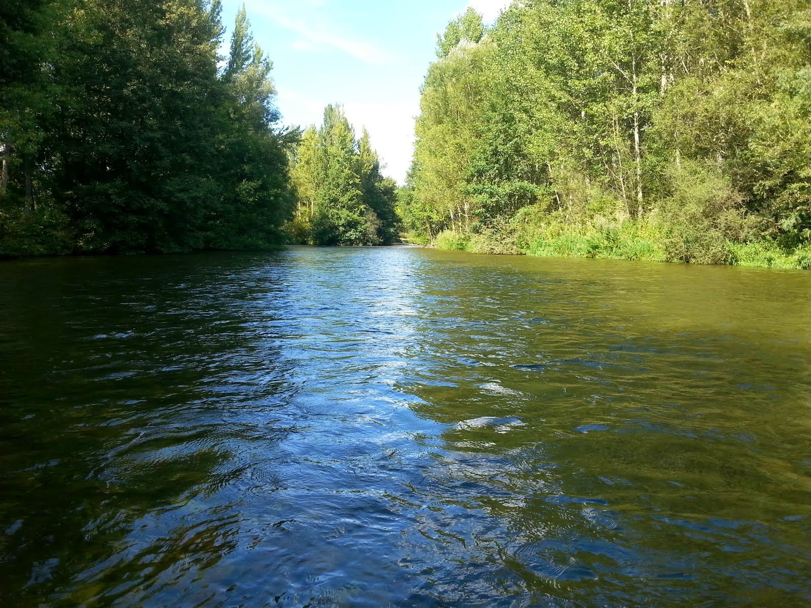 RÍO PORMA, VILLANUEVA DEL CONDADO.