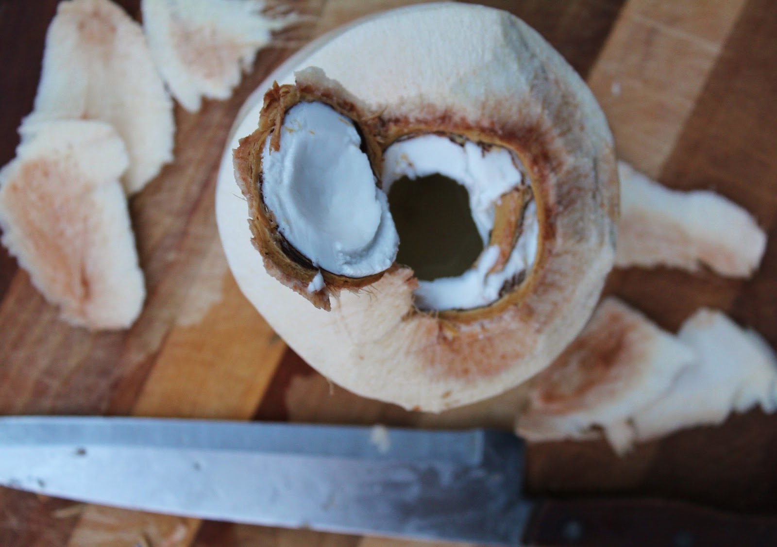 This Rawsome Vegan Life olive oil ice cream & vanilla coconut ice