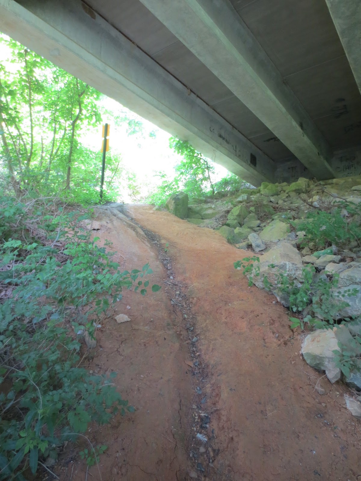 Revelations by a 40Something Mom Fossil Hunting in