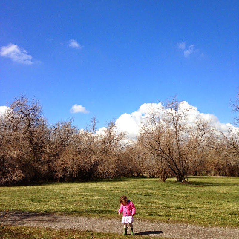 Happier Still Happy Happy Birthday To Me