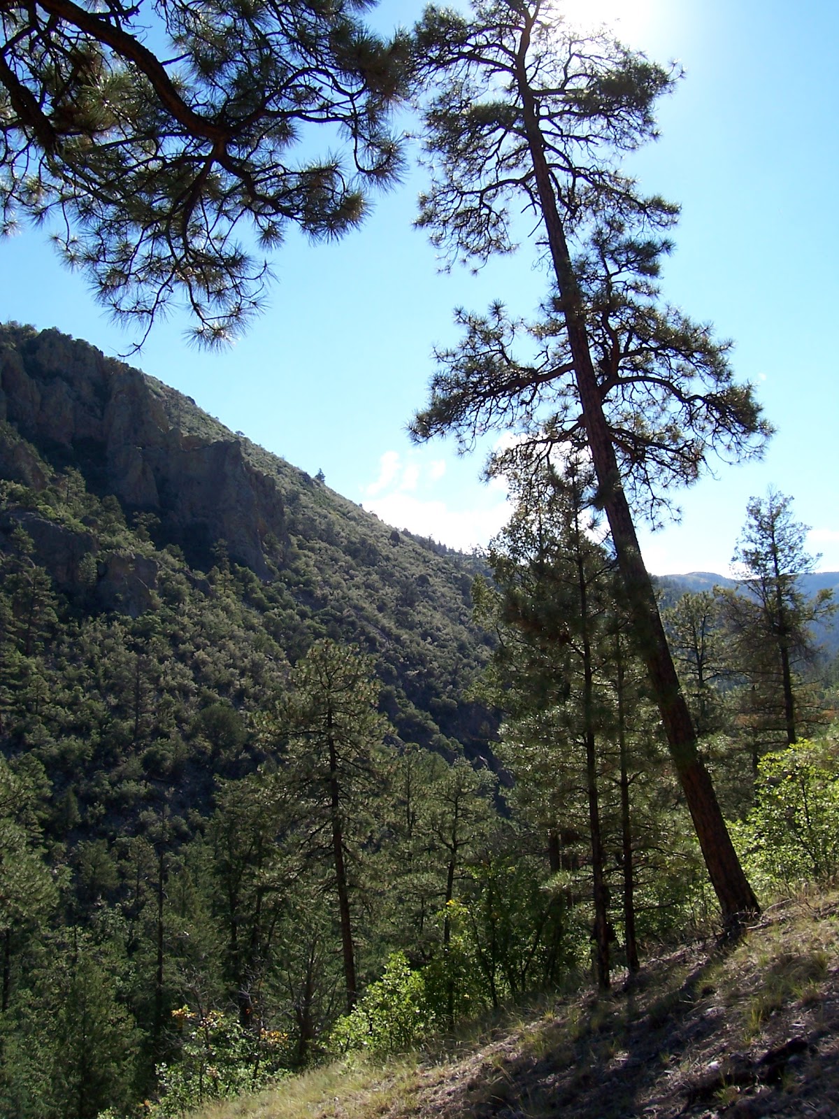Southern New Mexico Explorer Coffee Pot Trail( FT 69) Cibola National Forest