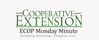 ECOP Monday Minute