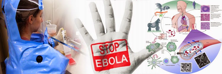 ebola, virus, penyakit