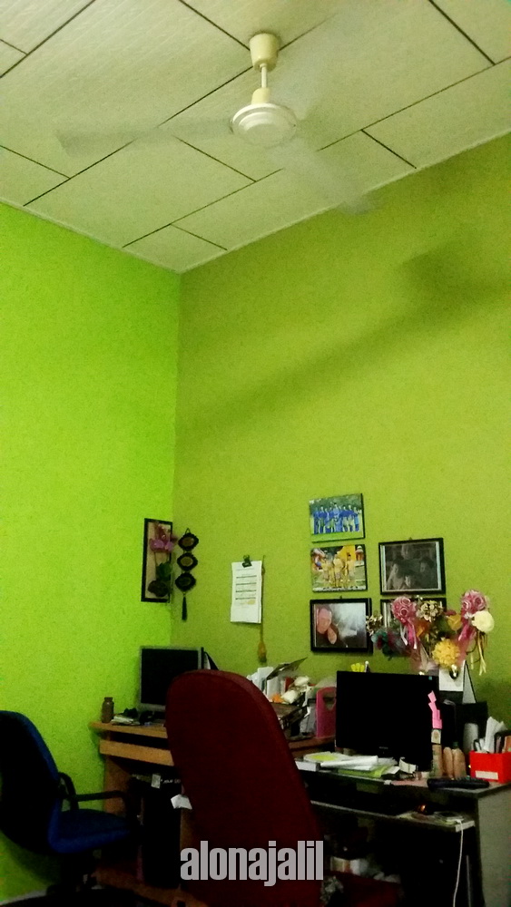 50+ Cat Rumah Warna Hijau Apel Background