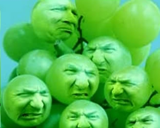 sourgrapes.jpg