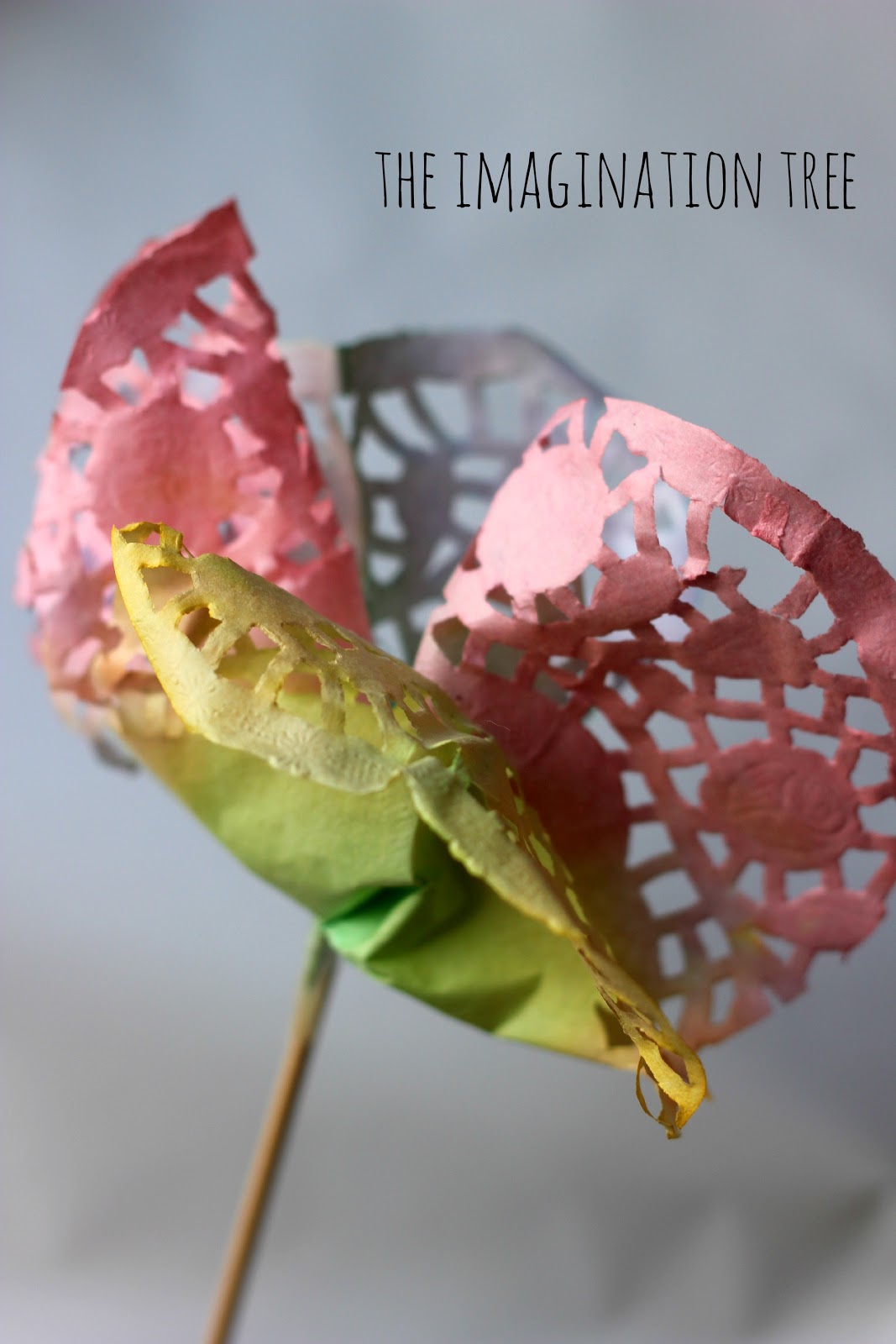 Dip Dye Doily Flowers The Imagination Tree