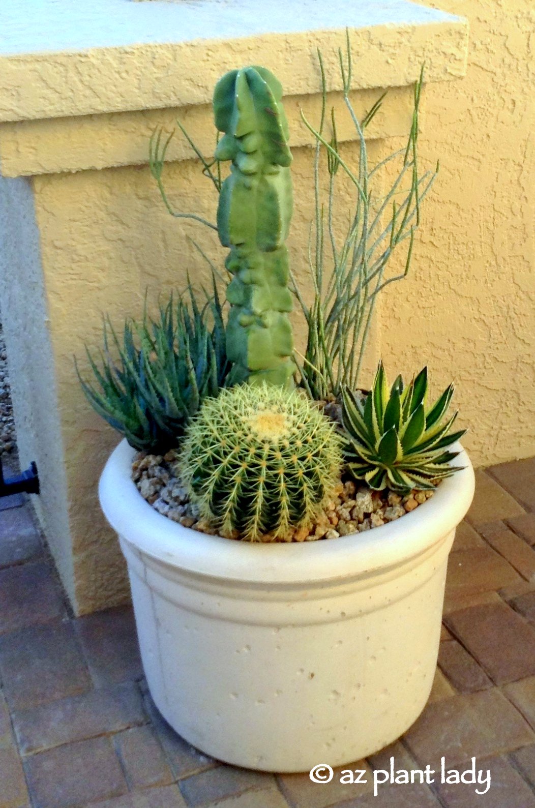 Container Gardening Book Review Giveaway Getting Potted