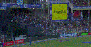 GIF Of The Day: Polly Takes A Cracker