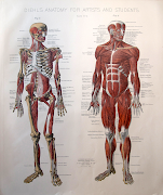 Diehl's Anatomy for Artists and Students
