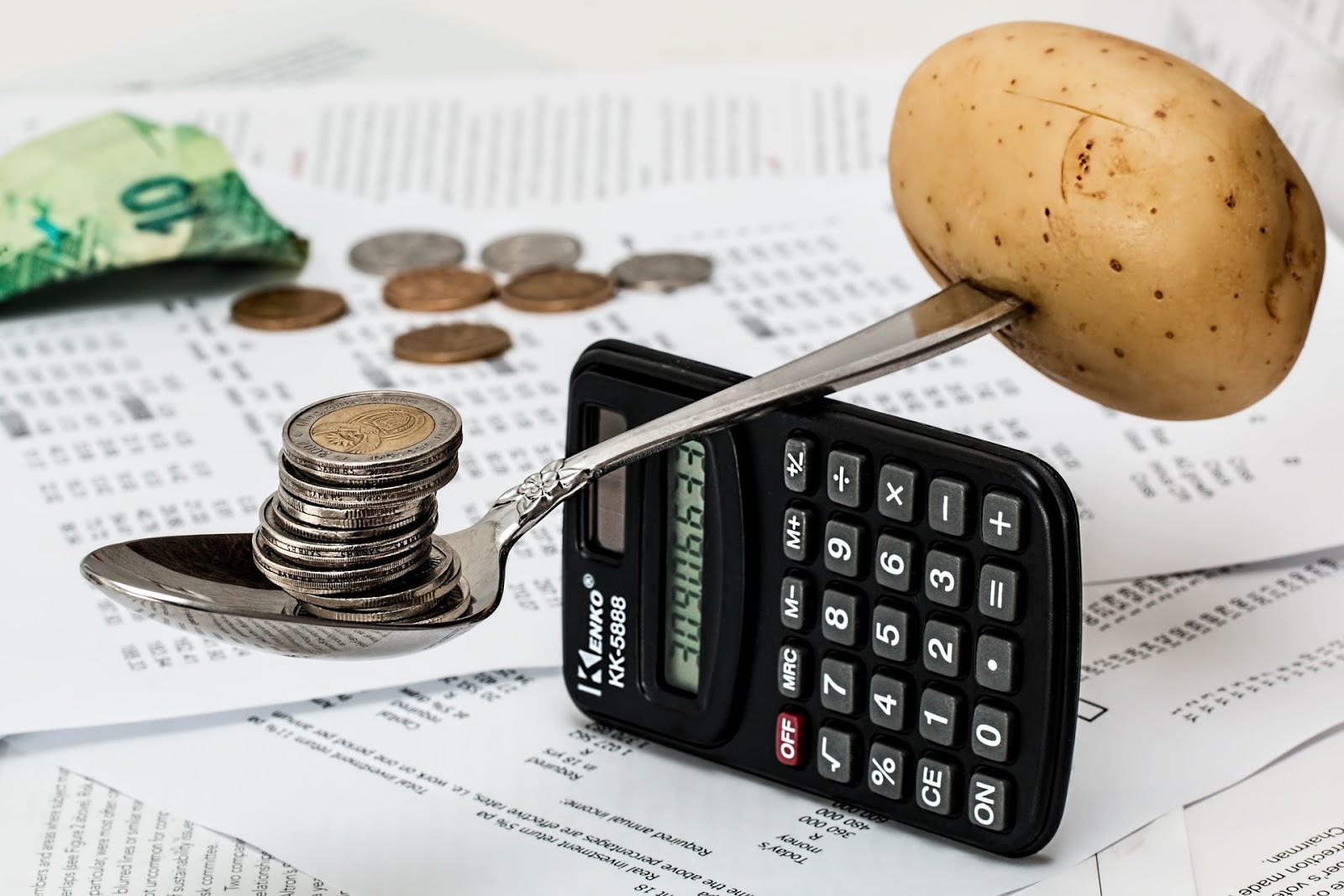 finance brain teasers role of financial manager in achieving the