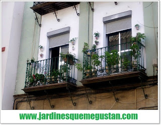 Jardines Que Me Gustan: Jardines verticales: El balcón