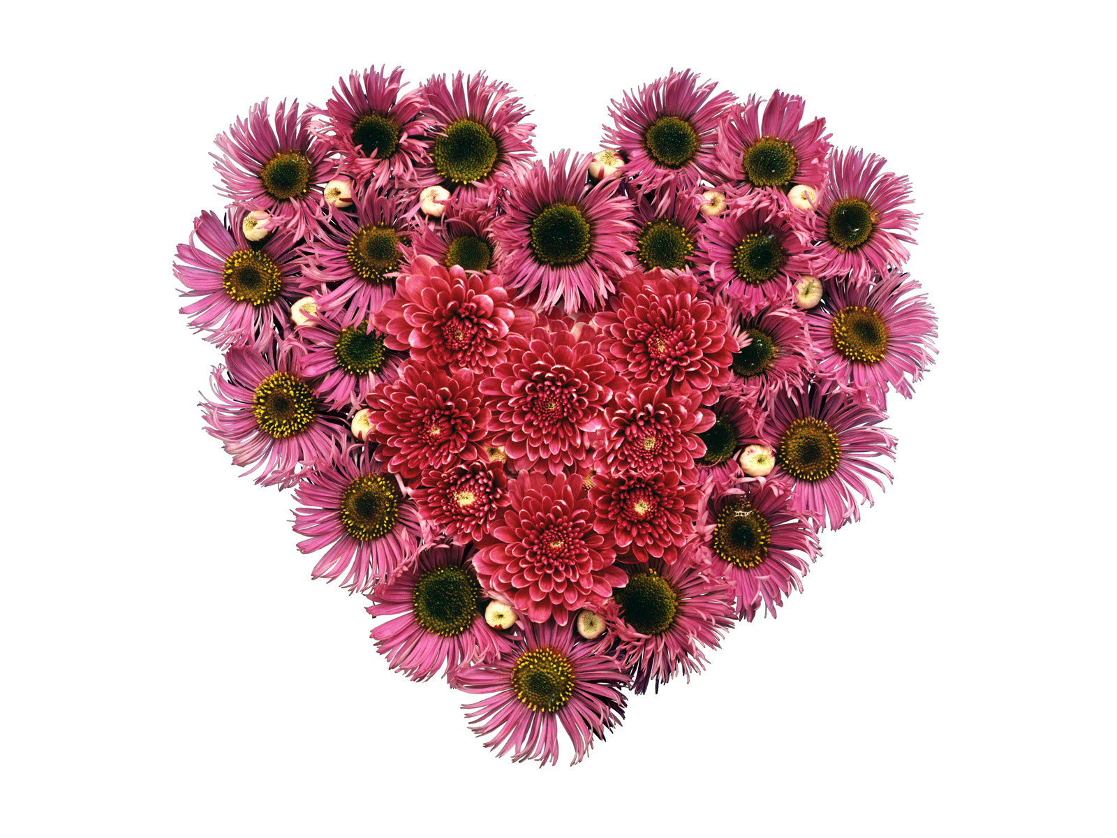 love heart wallpapers love heart wallpapers