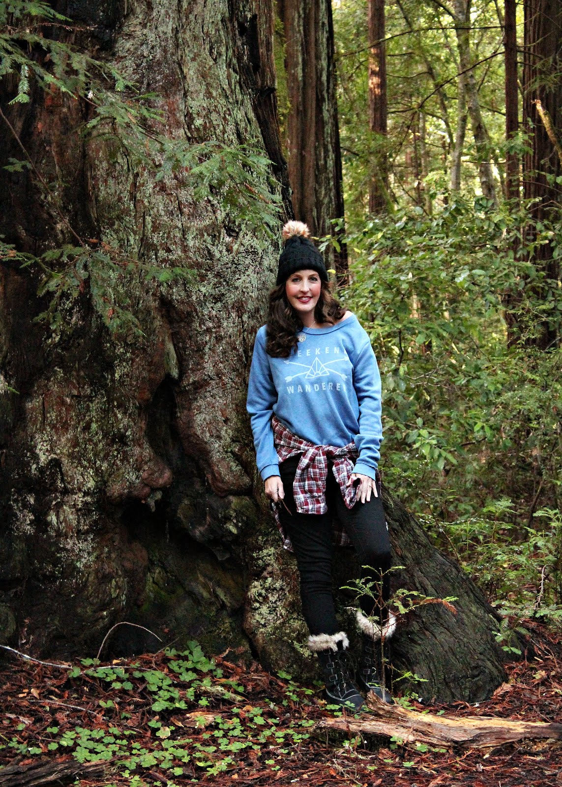 Weekend Wanderer in the Redwoods