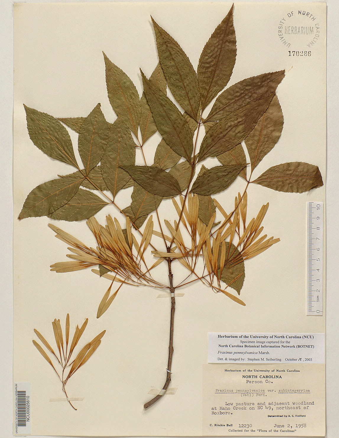 All About Science Herbarium