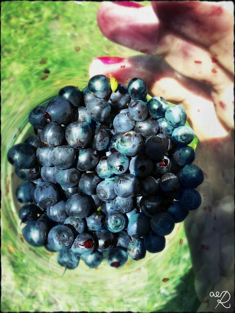 wakacje z włóczką wakacje z włóczką