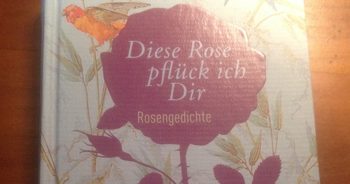 Das Blaue Haus Diese Rose Pfluck Ich Dir