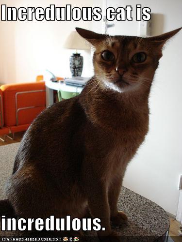 incredulouscat.jpg
