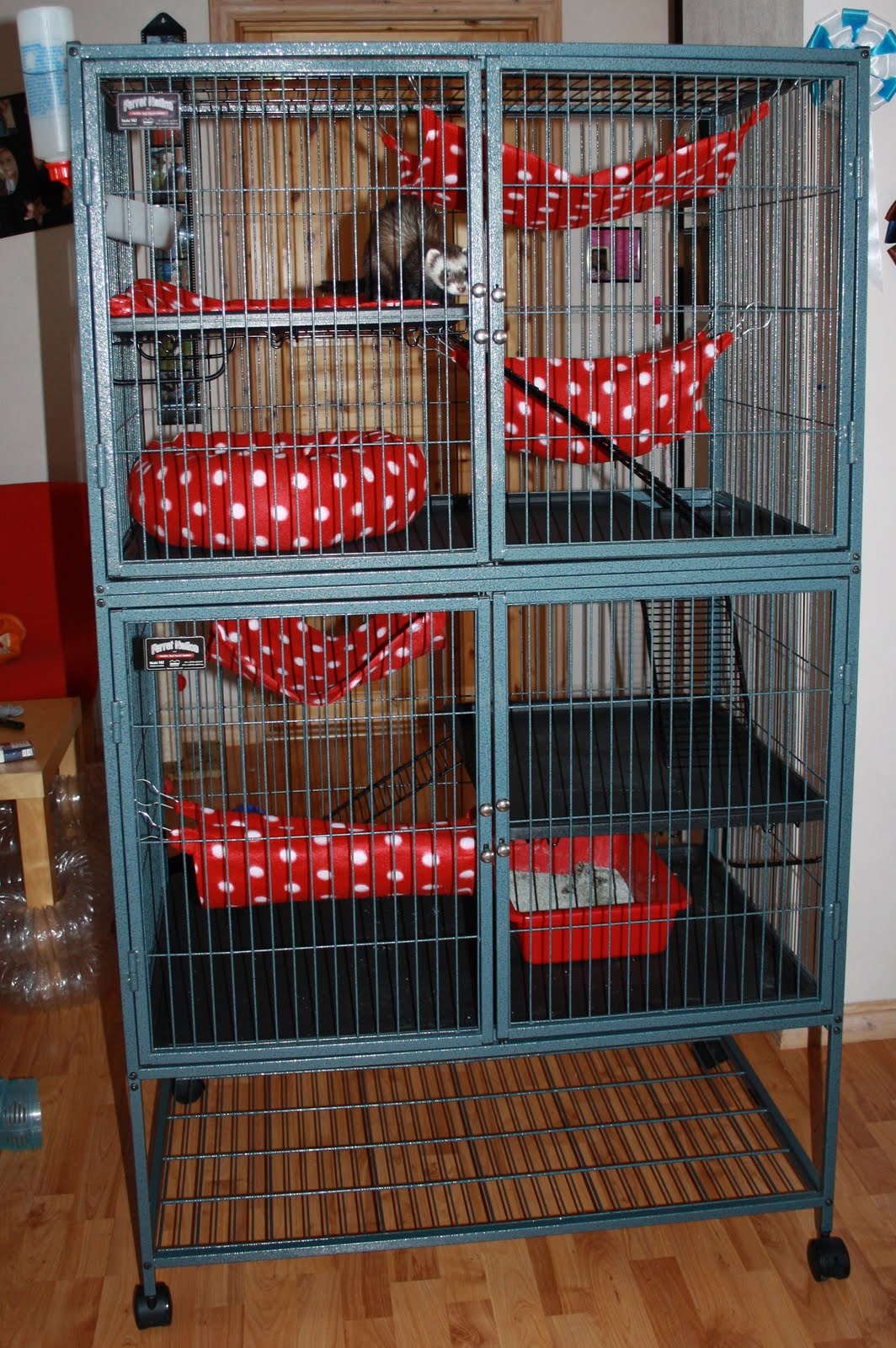 A ferret blog!: My Ferret Nation Cage