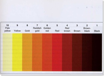 Have A Great Hair Day Black Black Black A Hair Stylists Worst