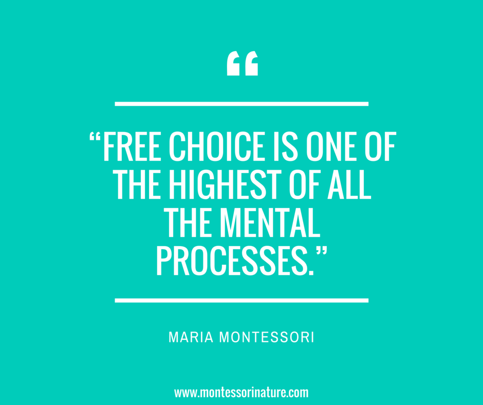 Quotes Of Maria Montessori Inspiration For Teachers And Parents Interesting Maria Montessori Quotes Quotes Of Maria Montessori Inspiration For Teachers And Parents Interesting Maria Montessori Quotes