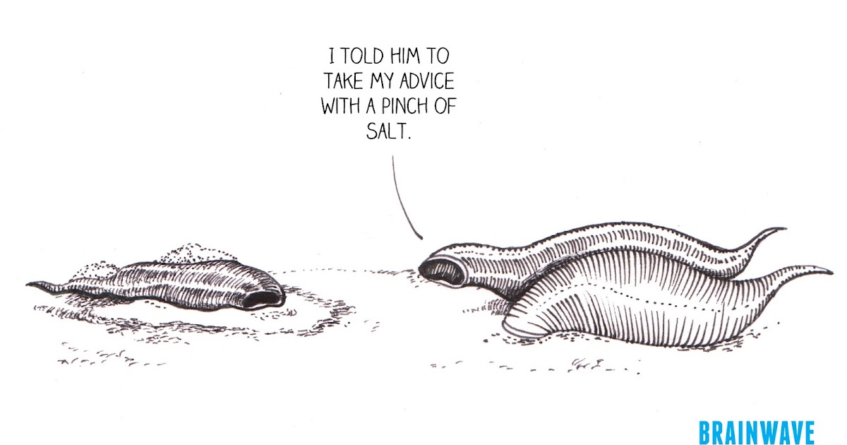 A Treehouse: Brainwave. Factoons. 30th May