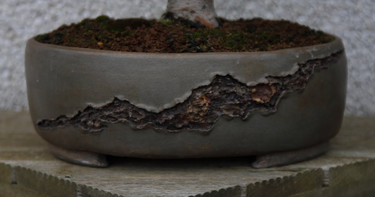 MIS COSAS: MIS MACETAS I