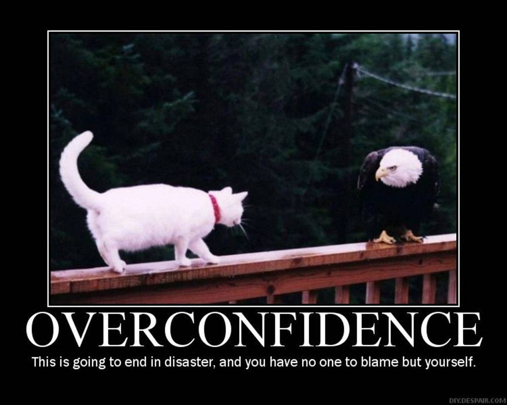 Funny+poster+about+over+confidence.jpg